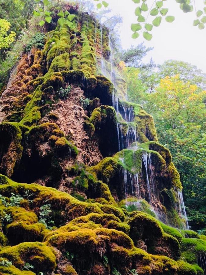 Les Glycines, Charmant Studio Au Calme Dans Batisse De Maitre Proche Du Centre Ville Parking Gratuit Digne-les-Bains Esterno foto