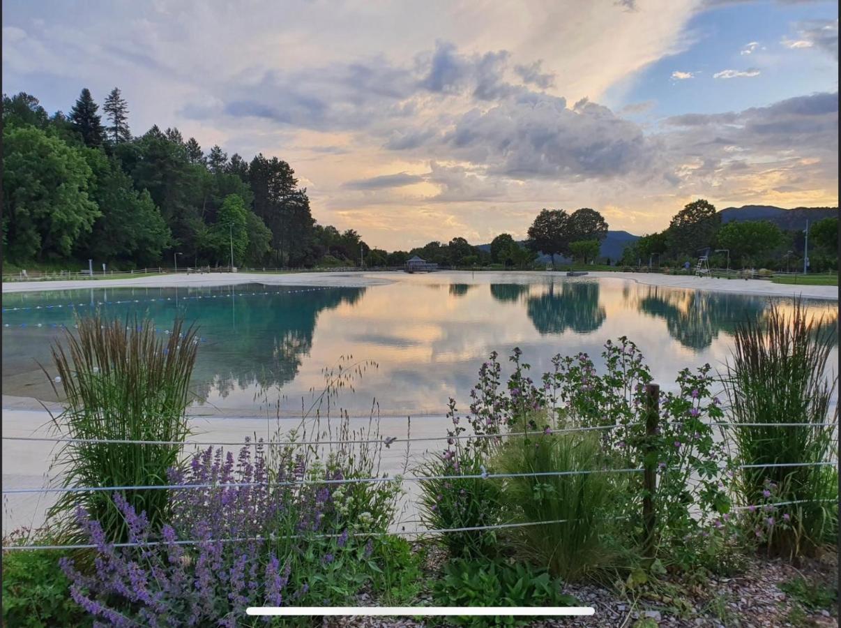 Les Glycines, Charmant Studio Au Calme Dans Batisse De Maitre Proche Du Centre Ville Parking Gratuit Digne-les-Bains Esterno foto
